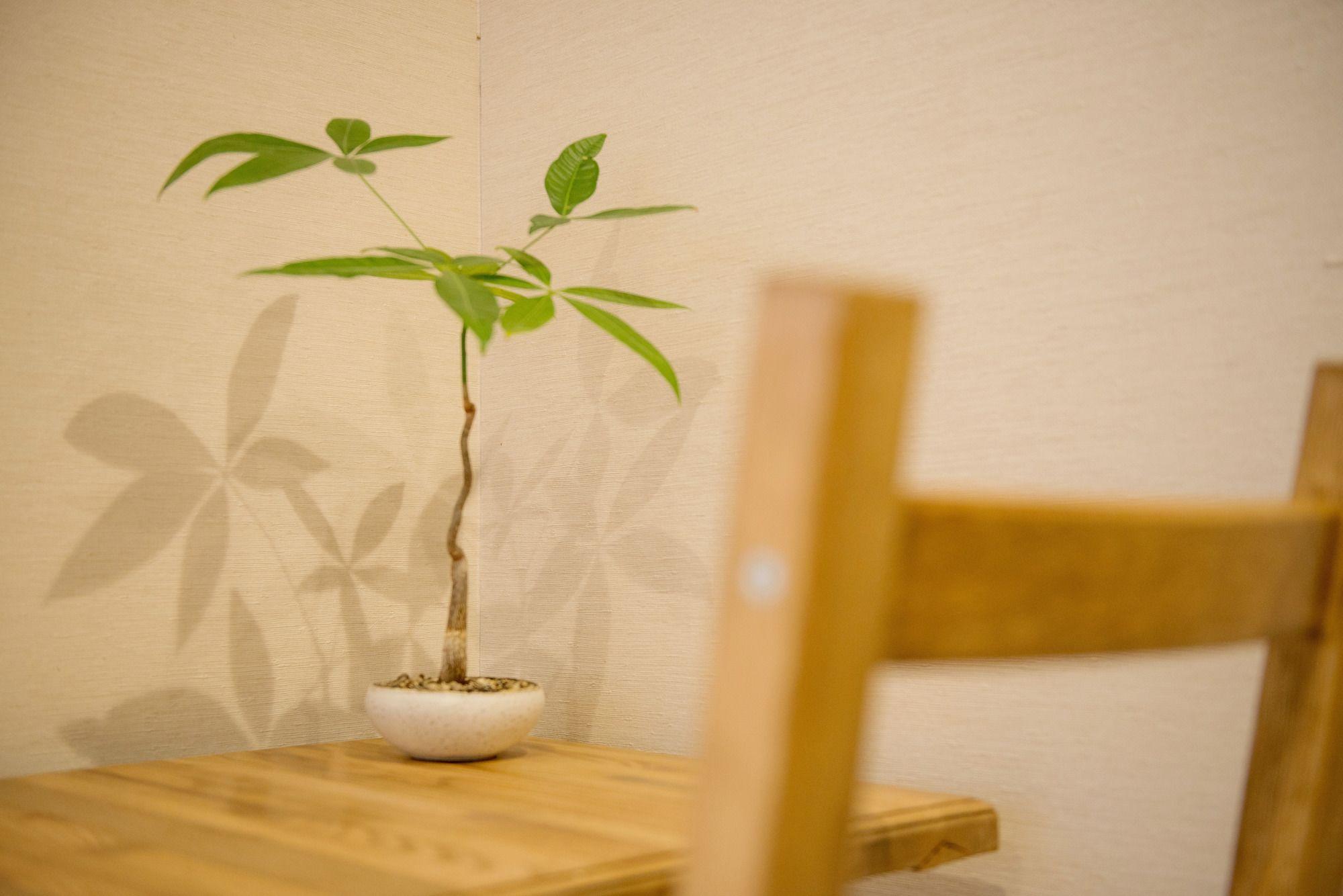 Denchi Tokyo - Guest House Denchi Eksteriør bilde